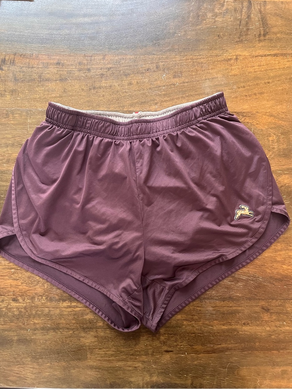 Tracksmith Women's Twilight Split Shorts